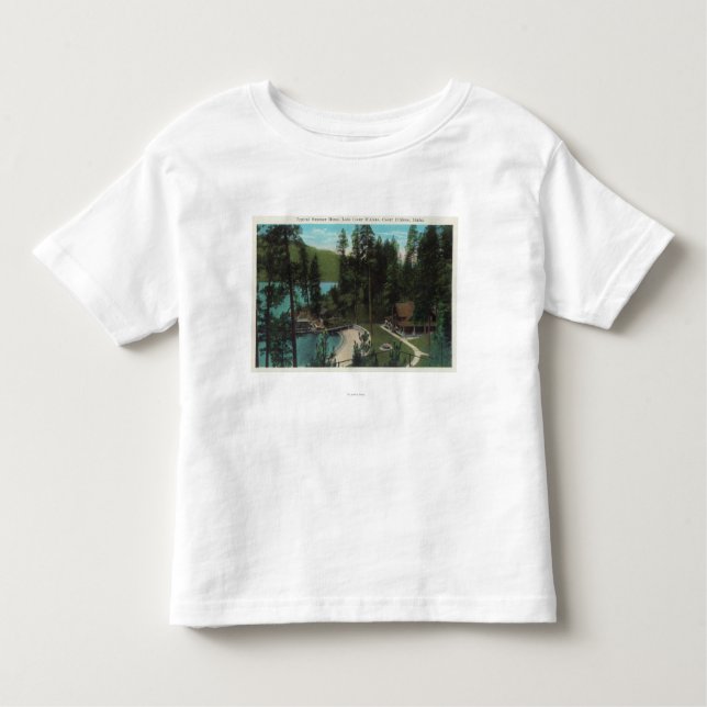 Aerial View of a Typical Summer Home on the Toddler T-Shirt (Front)