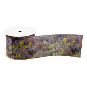 Aerial View of Autumn forest Colourful Trees Satin Ribbon