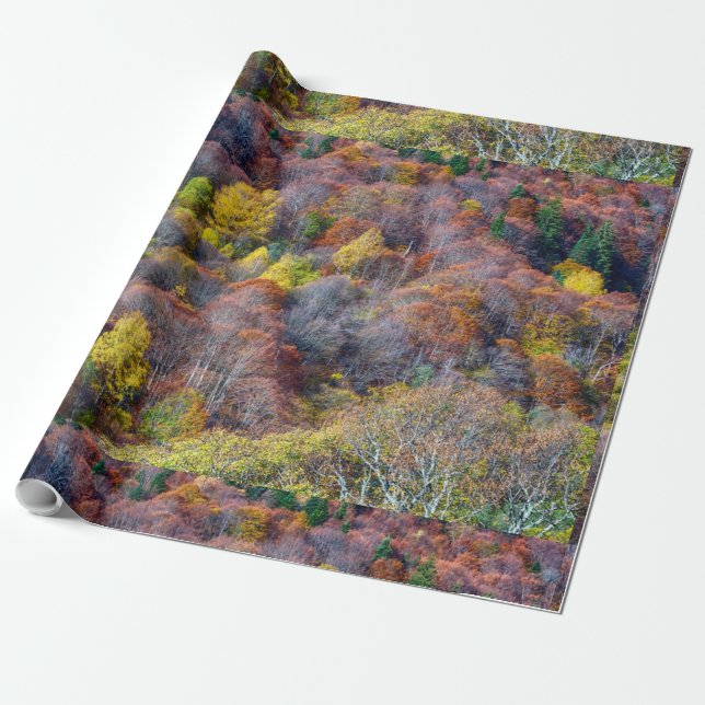  Aerial View of Autumn forest Colourful Trees     Wrapping Paper (Unrolled)