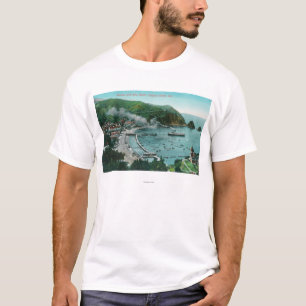 Aerial View of Avalon and Bay T-Shirt