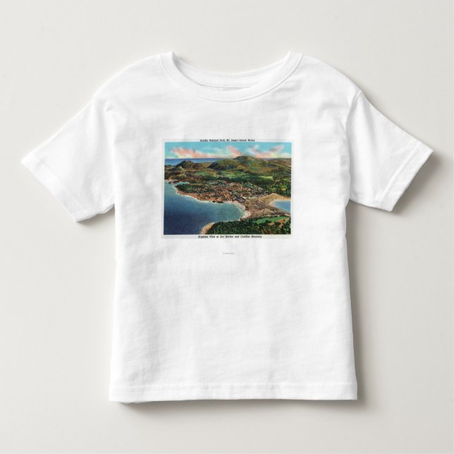 Aerial View of Bar Harbour and Cadillac Toddler T-Shirt (Front)