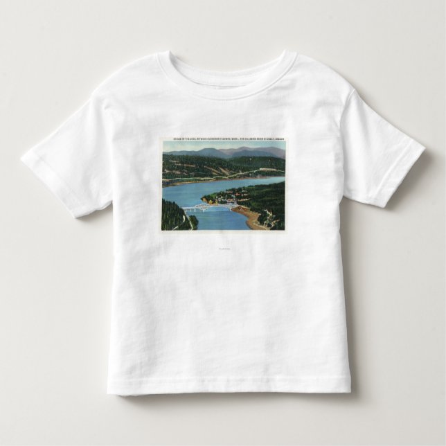 Aerial View of Bridge of the Gods Toddler T-Shirt (Front)