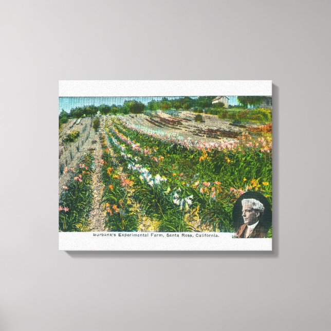 Aerial View of Burbanks Experimental Farm Canvas Print (Front)