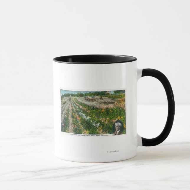 Aerial View of Burbanks Experimental Farm Mug (Right)