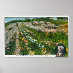 Aerial View of Burbanks Experimental Farm Poster