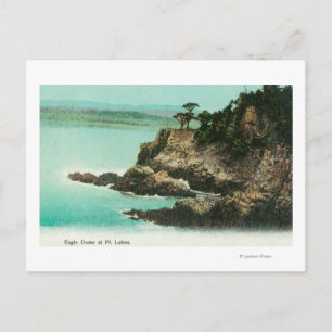Aerial View of Eagle Dome at Point Lobos Postcard