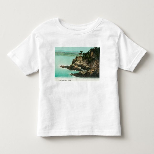 Aerial View of Eagle Dome at Point Lobos Toddler T-Shirt (Front)