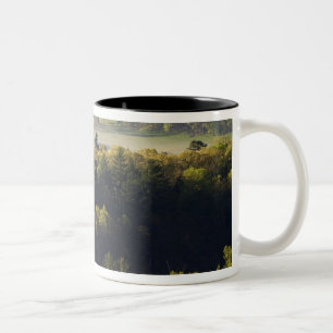 Aerial view of forest in Cades Cove, Great Smoky Two-Tone Coffee Mug