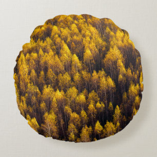 AERIAL VIEW OF FOREST ROUND CUSHION