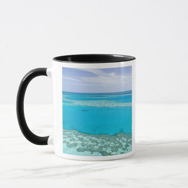 Aerial view of Great Barrier Reef by Mug (Left)