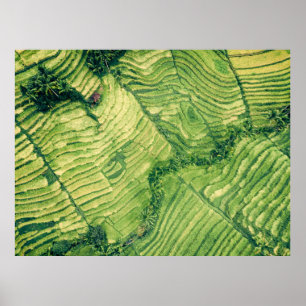 Aerial view of green field poster