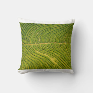 Aerial view of green open field cushion