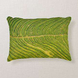 Aerial view of green open field decorative cushion