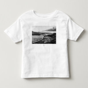 Aerial view of Haines, Alaska location of Toddler T-Shirt