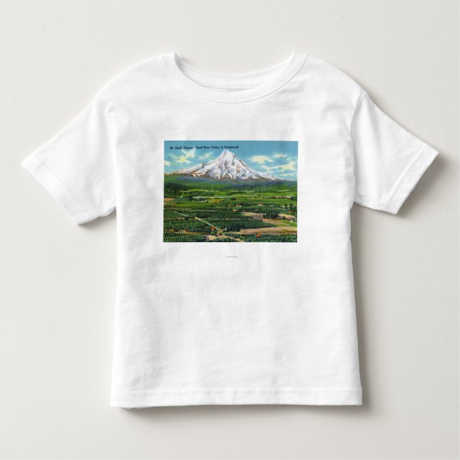 Aerial View of Hood River Valley and Mountain Toddler T-Shirt (Front)