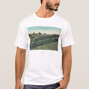 Aerial View of Prunes Drying in the Sun T-Shirt