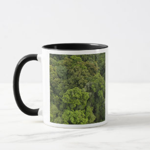 Aerial View of rainforest. Iwokrama Reserve, Mug