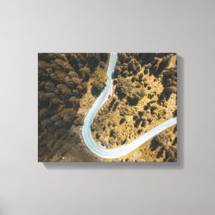 aerial view of road between forest canvas print