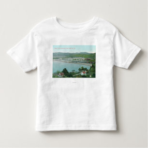 Aerial View of Sulphur Banks Quicksilver Mine Toddler T-Shirt