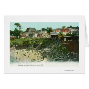 Aerial View of the Bathing Beach