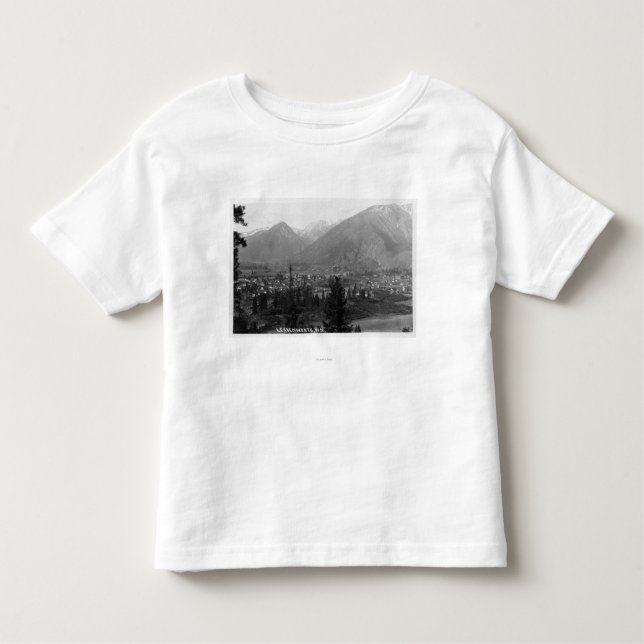 Aerial View of the City 5 Toddler T-Shirt (Front)