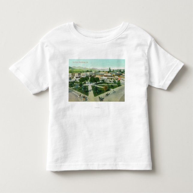 Aerial View of the City PlazaHealdsburg, CA Toddler T-Shirt (Front)