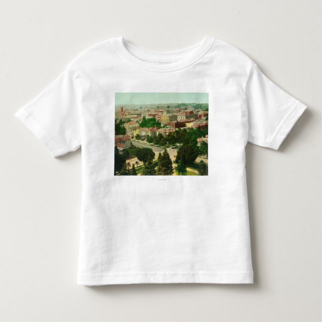 Aerial View of the City Toddler T-Shirt (Front)