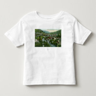 Aerial View of the CityDunsmuir, CA Toddler T-Shirt
