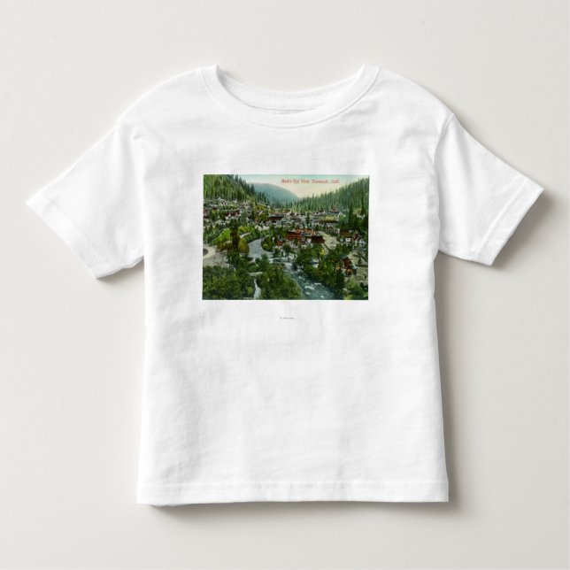 Aerial View of the CityDunsmuir, CA Toddler T-Shirt (Front)