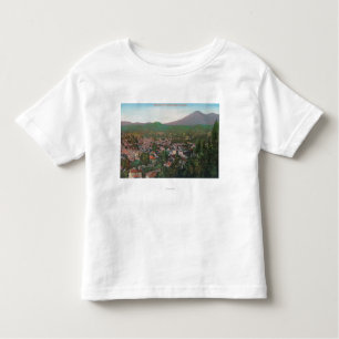 Aerial View of the CitySan Rafael, CA Toddler T-Shirt