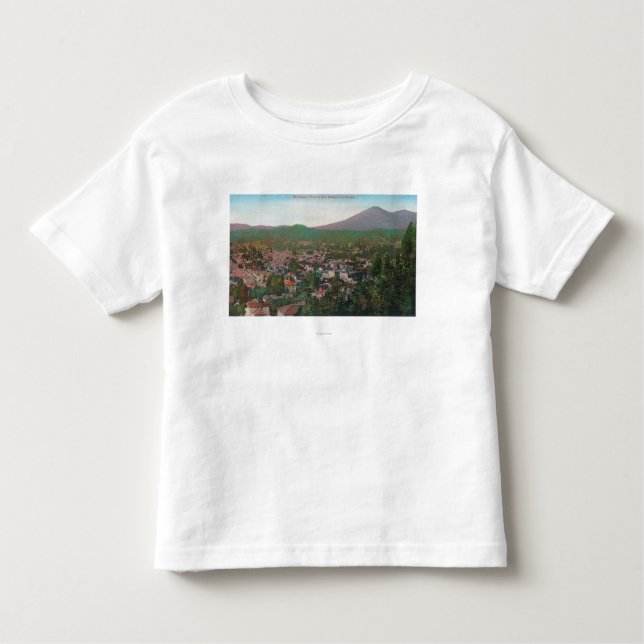 Aerial View of the CitySan Rafael, CA Toddler T-Shirt (Front)
