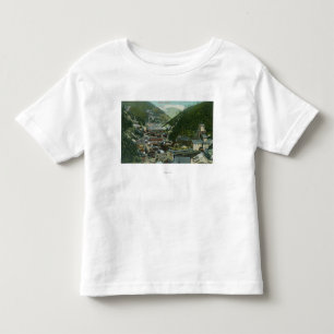 Aerial View of the Town and MountainsBurke, ID Toddler T-Shirt