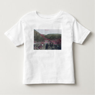 Aerial View of the TownColoma, CA Toddler T-Shirt