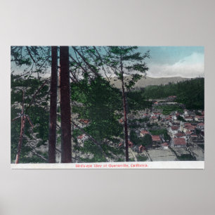 Aerial View of the TownGuerneville, CA Poster