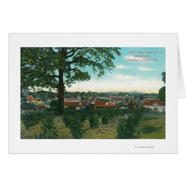 Aerial View of the TownSebastopol, CA (Front Horizontal)