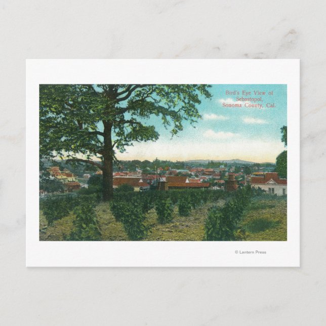 Aerial View of the TownSebastopol, CA Postcard (Front)