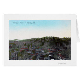 Aerial View of the TownSonora, CA