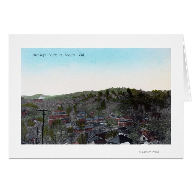 Aerial View of the TownSonora, CA (Front Horizontal)