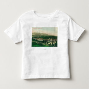 Aerial View of Weed Station at Mt. Shasta Base Toddler T-Shirt