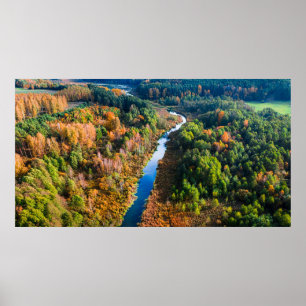  Aerial View of Winding River Sunny Autumn Forest  Poster