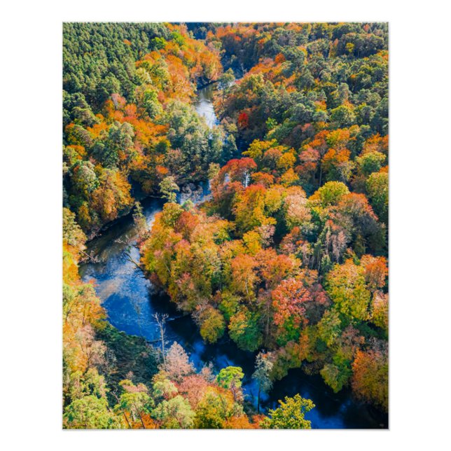 Aerial View of Winding River Sunny Autumn Forest Poster (Front)