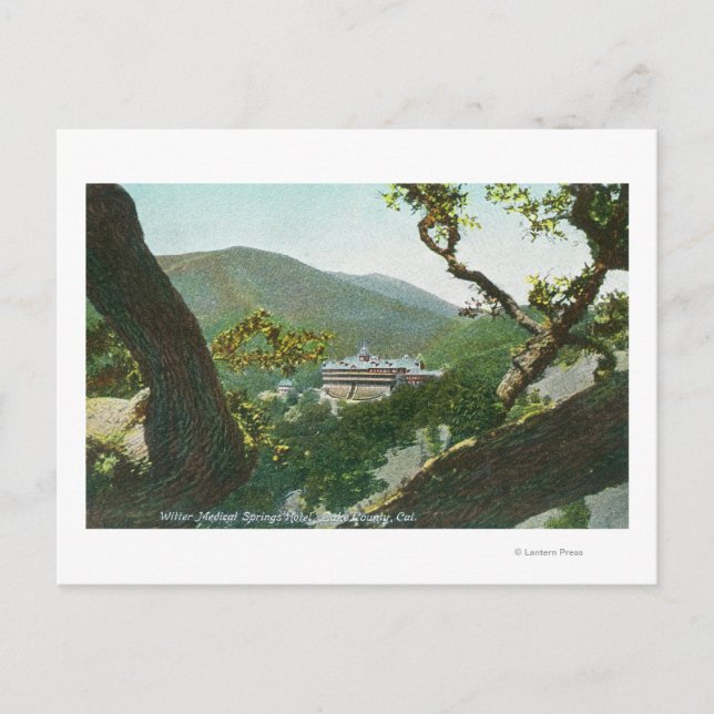 Aerial View of Witter Medical Springs Hotel Postcard (Front)