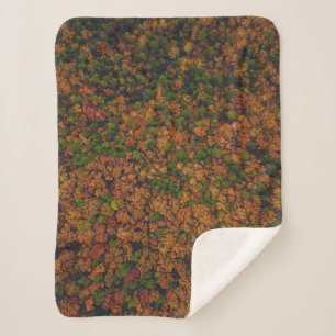 Aerial view photography of forest sherpa blanket