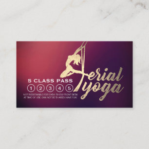 Aerial Yoga Pilates Fitness Class Pass Loyalty