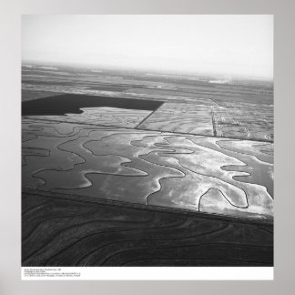 Aerials, Sacramento Valley, Rice fields, May, 1966 Poster