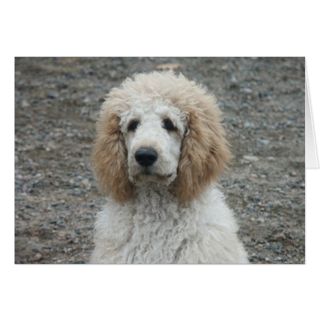 Aero-4 (Front Horizontal)