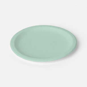 Aero blue (solid colour) Paper Plate