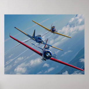 Aerobatic Planes Poster