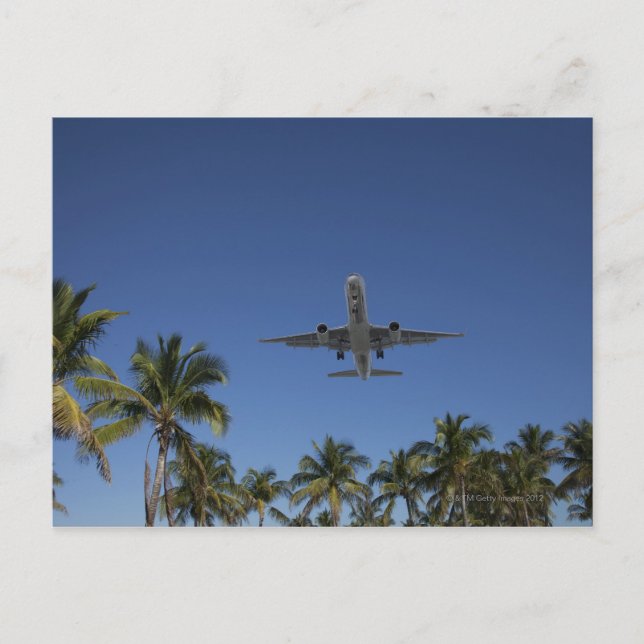 Aeroplane landing in Miami Postcard (Front)