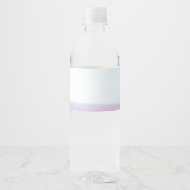 Aeroplane Pink Pastel Sky Water Bottle Label (Front)